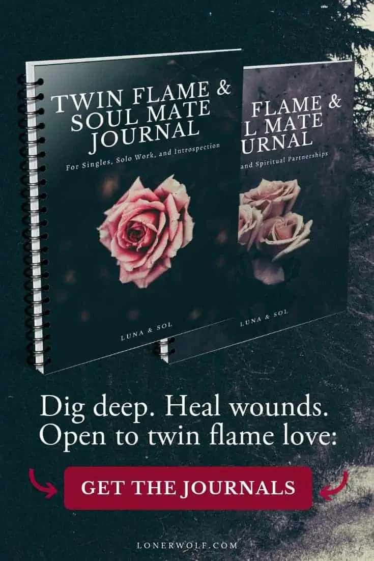 Twin Flames & Soul Mates Journals 3 Twin Flames & Soul Mates Journals