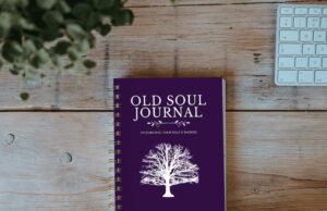 old souls book aletheia luna 3