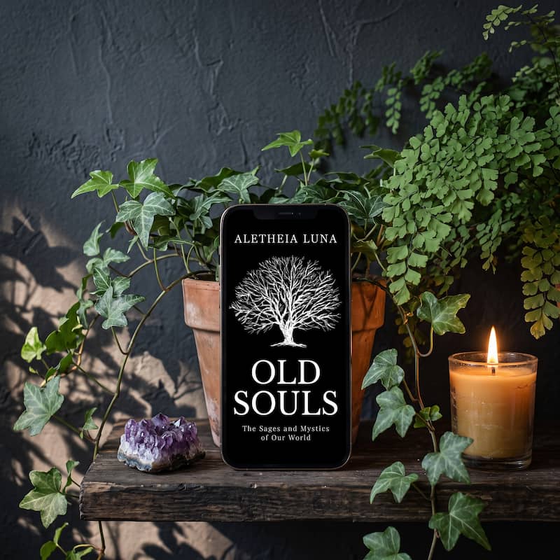 Old Soul eBook Bundle 5 old souls ebook image