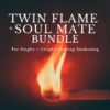 Twin flame and soul mate bundle image