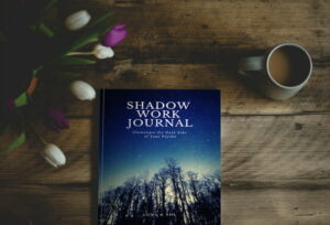 Image of the shadow work journal