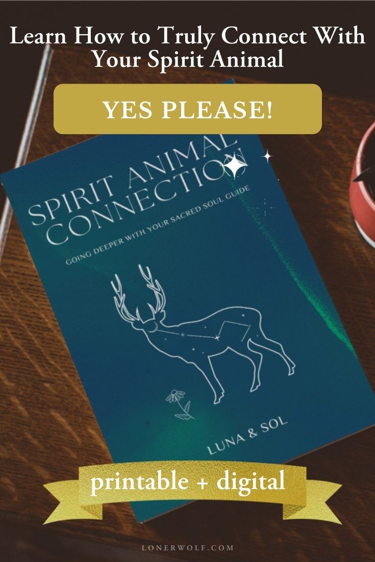 Spirit Animal Bundle 1 Spirit Animal Bundle
