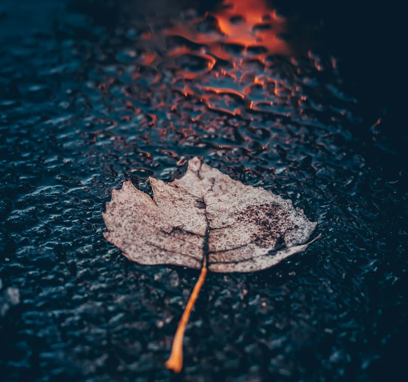 john noonan E 9CFTftQh4 unsplash 2 1