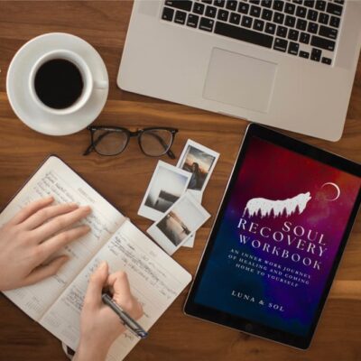 Soul recovery workbook image