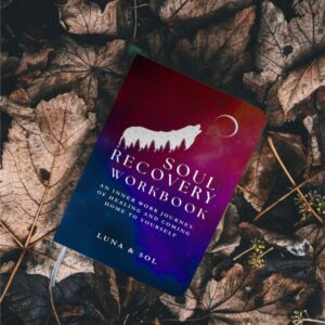 soul recovery workbook image