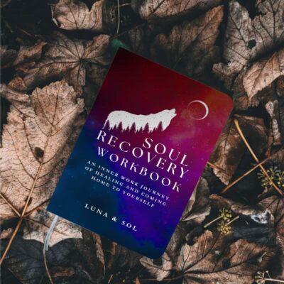 soul recovery workbook image