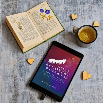 Soul recovery workbook image